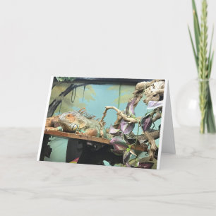 LIZARDS SAY *COUNT ME IN* ON CELEBRATING BIRTHDAY  CARD