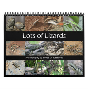 Lizards Wall Calendar by J.W. Fatherree.