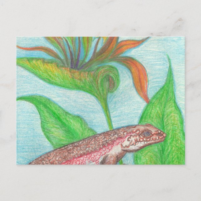 Lizzzard Postcard (Front)