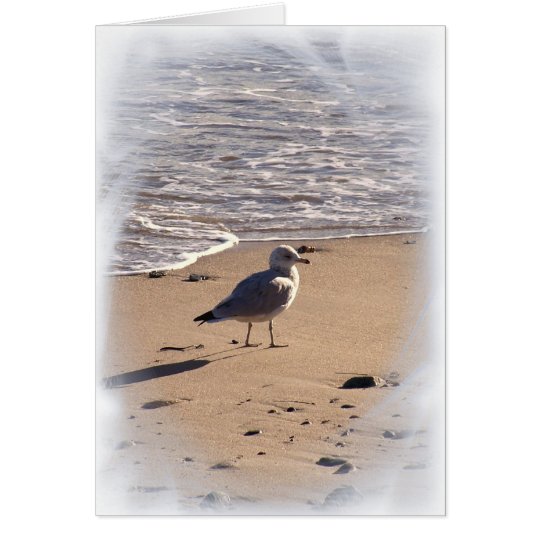 Lkes Long Walks on the Beach... Card