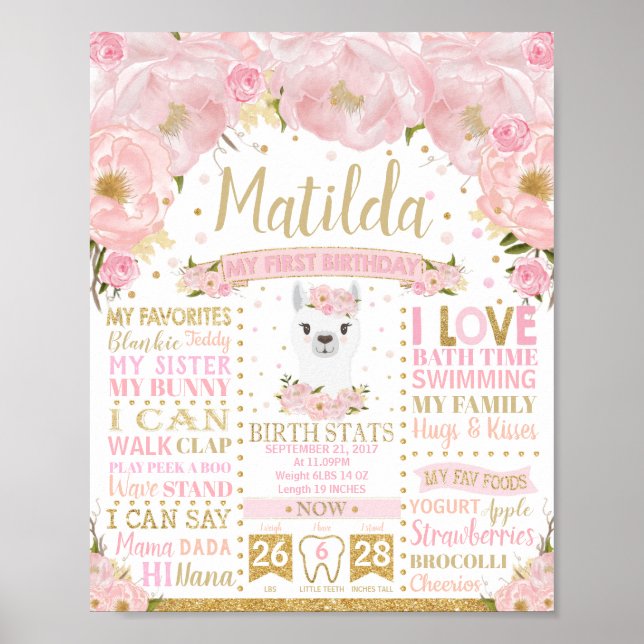 Llama 1st Birthday Milestones Birth Stats Sign (Front)