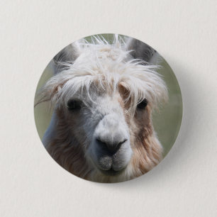 Llama 6 Cm Round Badge
