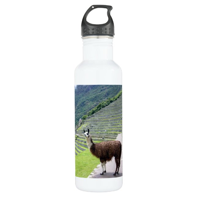 llama 710 ml water bottle (Front)