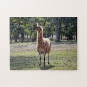 Llama A Poser Animal Nature Puzzle