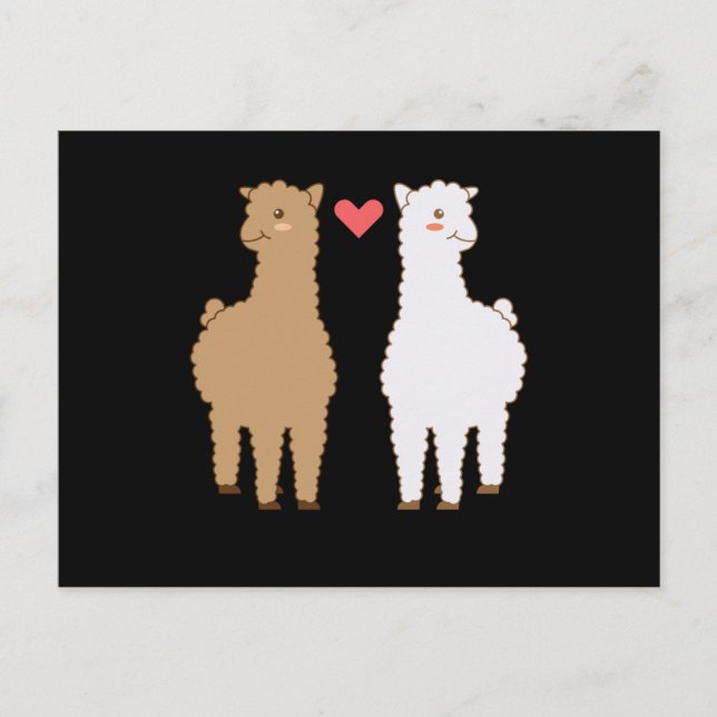 Llama Alpaca Llamas Alpacas Sweet Animal Design Postcard (Front)