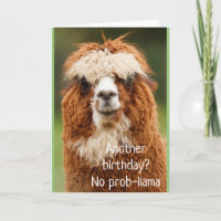 Llama Alpaca No Prob-llama Birthday Card