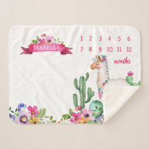 Llama and Cactus Floral Baby Name Milestone Photo
