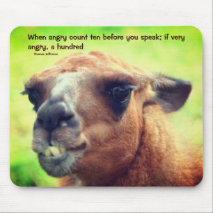 Llama Anger Management Quote Inspirational Mouse Pad