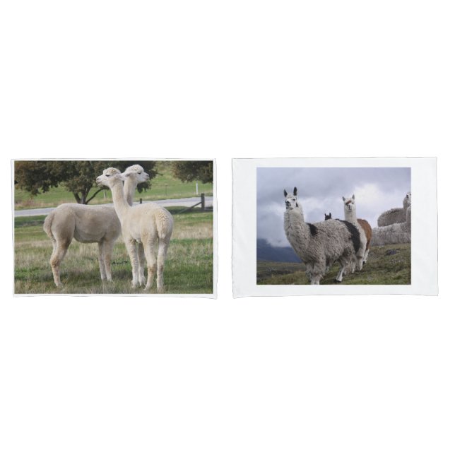 Llama Animal Custom Destiny'S Destiny Pillowcase (Front-Set)