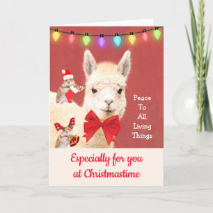 Llama At Christmastime Peace To All Holiday Card