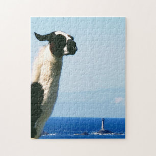 Llama at Lands End, Cornwall Jigsaw Puzzle
