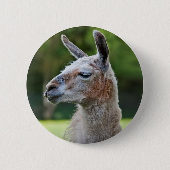 Llama Badge (Front)