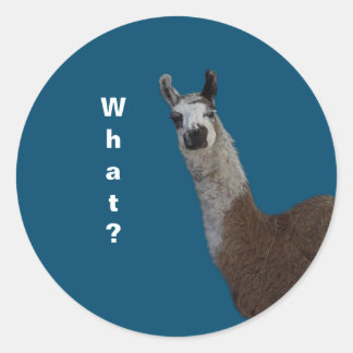 llama Basic Dark T-Shirt Classic Round Sticker