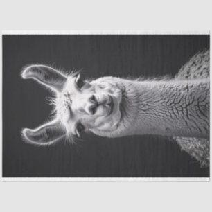 Llama Black and White Portrait Decoupage Tissue Paper