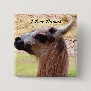 Llama Button
