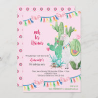 Llama Cactus Whole Llama Fun Girls Birthday Party