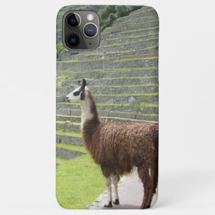 llama iPhone 11 pro max case