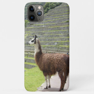 llama iPhone 11 pro max case
