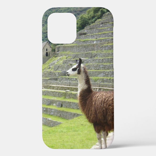 llama Case-Mate iPhone case (Back)
