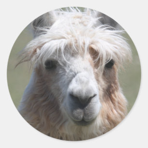 Llama Classic Round Sticker