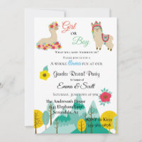 Llama Colourful Gender Reveal Party