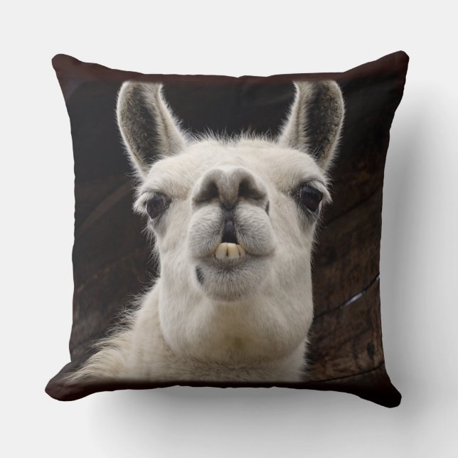 Llama Drama – Ich hab dich im Blick Cushion (Front)