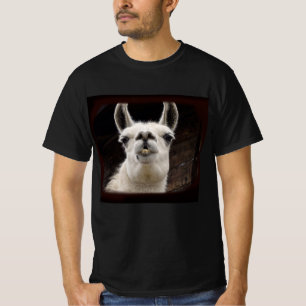 Llama Drama – Ich hab dich im Blick T-Shirt