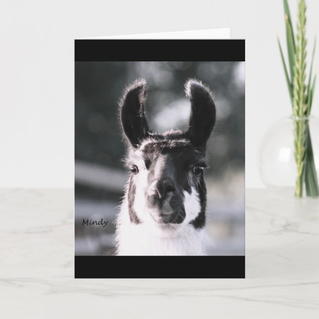 Llama Ears Card (Front)