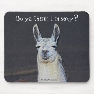 Llama Face Digital Art Humourous Photo Mousepad
