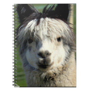 Llama Face Notebook