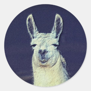Llama Face Pencil Art  Classic Round Sticker