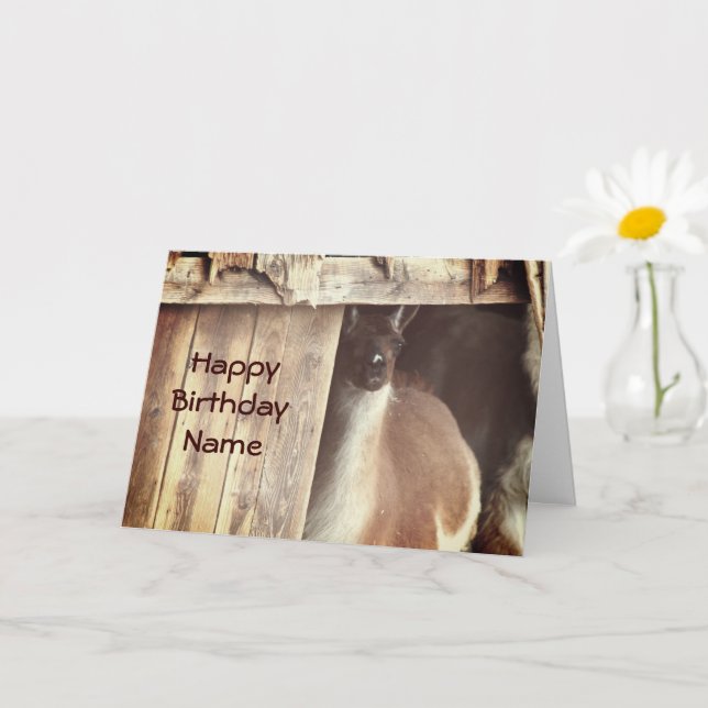 Llama Farm Animal Personalised Birthday Card (Small Plant)