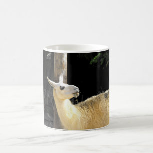 Llama feeding coffee mug