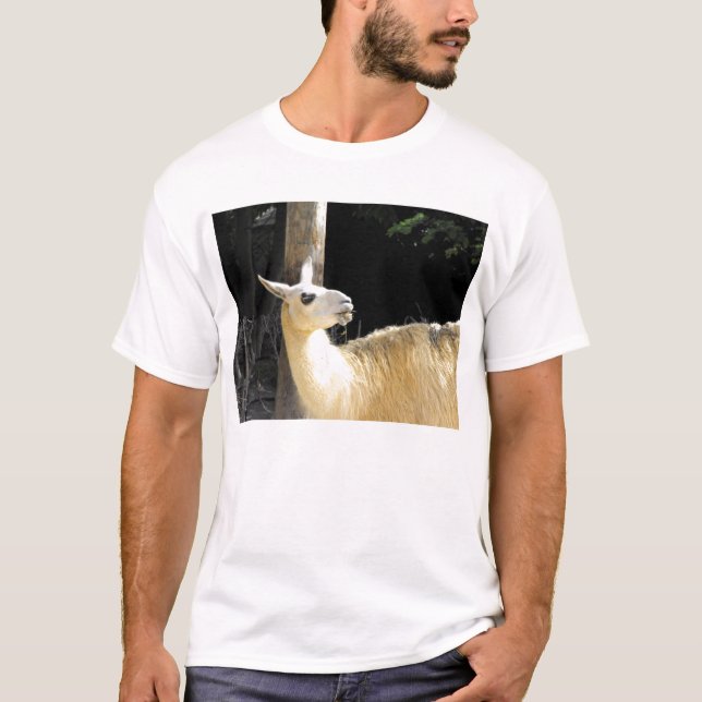 Llama feeding T-Shirt (Front)
