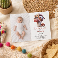 Llama Fiesta Funny Caricature 1st Birthday