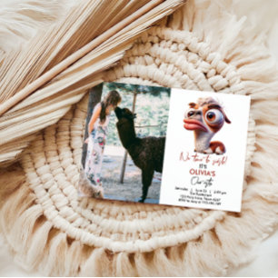 Llama Fiesta Funny Caricature 1st Birthday Invitation