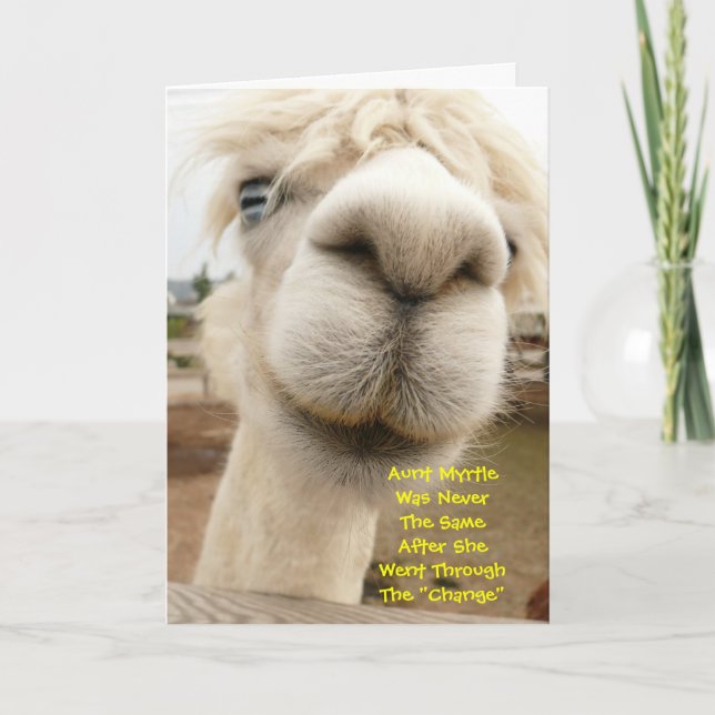 Llama Funny Birthday Card (Front)