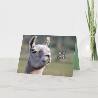 Llama Get Well |Get Well Soon Llama Card
