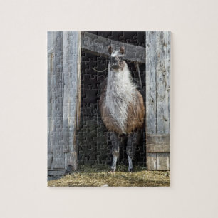 Llama, Greeting The Day Jigsaw Puzzle