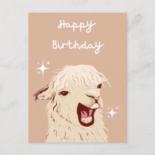 Llama Happy Birthday Postcard