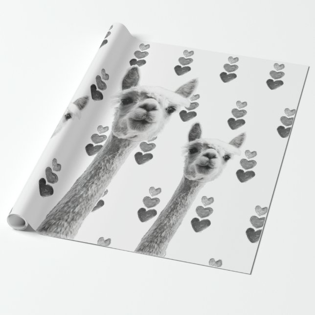 Llama hearts gift wrap (Unrolled)