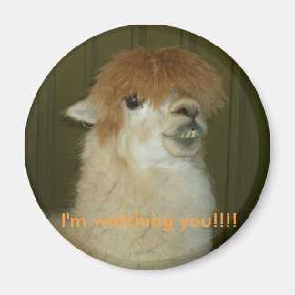 Llama, I'm watching you!!!! Magnet