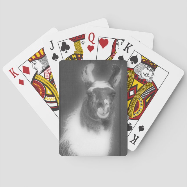 Llama In Black And White Farm Animal  Playing Cards (Back)