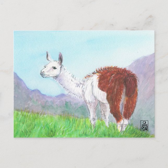 Llama in the Andes Postcard (Front)