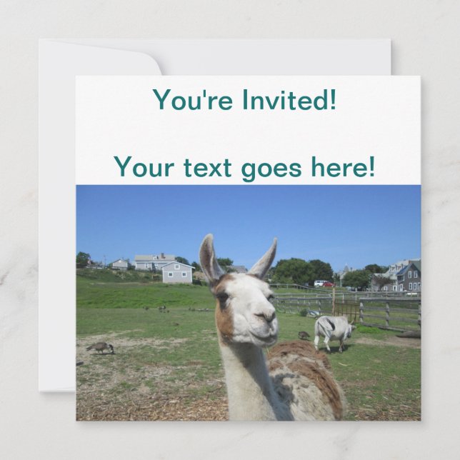 Llama Invitation (Front)