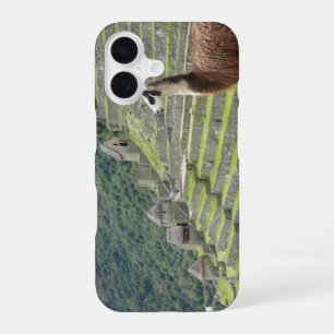 llama iPhone 16 case