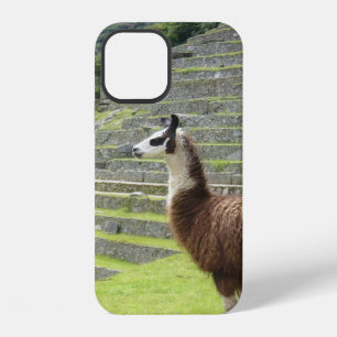 llama iPhone case