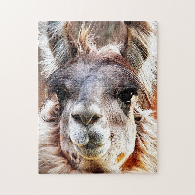 Llama Jigsaw Puzzle (Vertical)