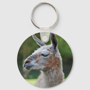 Llama Keyring