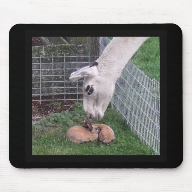 Llama Llove and Bunny Mouse Pad (Front)